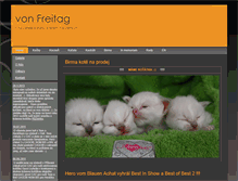 Tablet Screenshot of birmy.cz